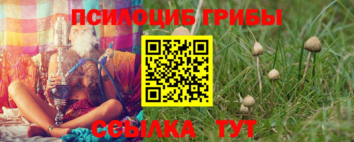Псилоцибиновые грибы Psilocybe  Вход с VPN  наркошоп  Ставрополь 